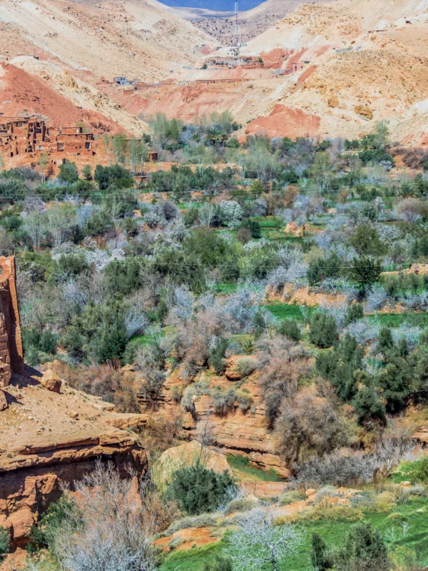 Tour de 6 Dias de Tanger