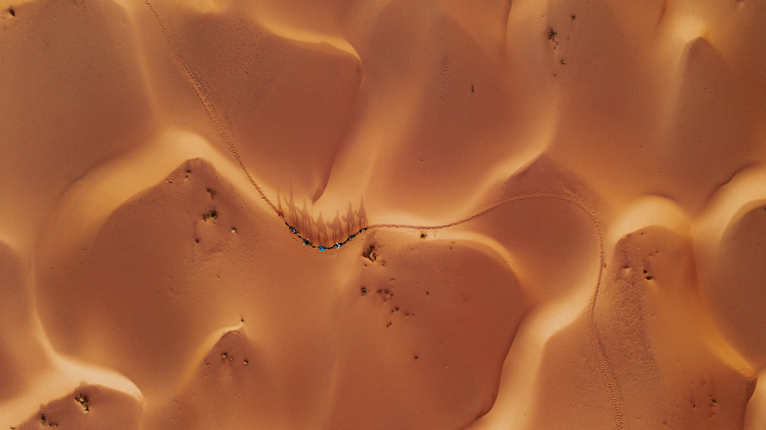 Tour de 10 Dias De Marrakech ao Deserto e Costa Atlântica